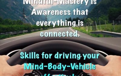 Your Mind-Body Vehicle: A Holistic View of Resilience